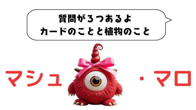 マシュマロ～質問が３つあるよ、カードのことと植物のこと～