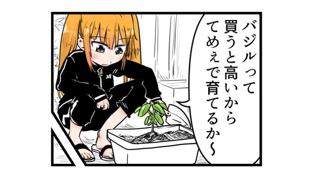 バジル日記 0701