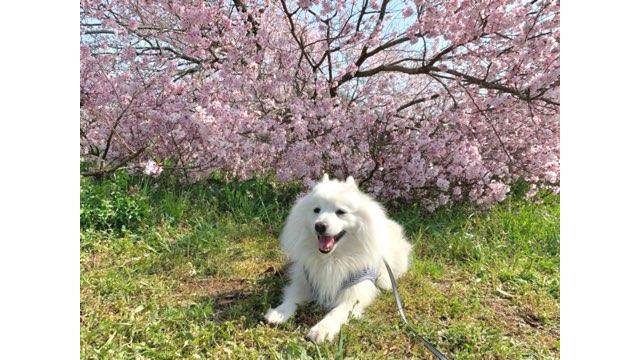 同じものを見て、同じこと感じ、言葉などいらなかった（水野青海）