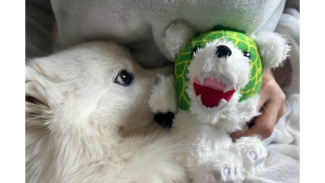 毎日の癒し🌱（水野青海）