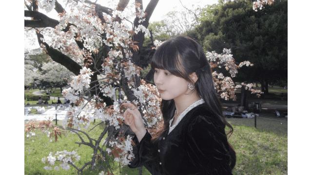 新生活応援（もも🍑）