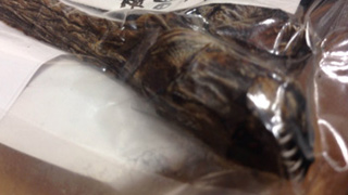 第9回放送「ワラスボッ」（ゲスト：照井春佳さん）