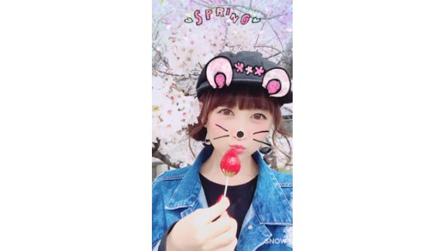 岩手でお花見♡