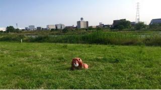 「東京5キロメートル――知ってる街の知らない魅力」 第2回 二子玉川――おしゃれベッドタウンに潜むアナーキースポット 【毎月配信】 ☆ ほぼ日刊惑星開発委員会 vol.633 ☆