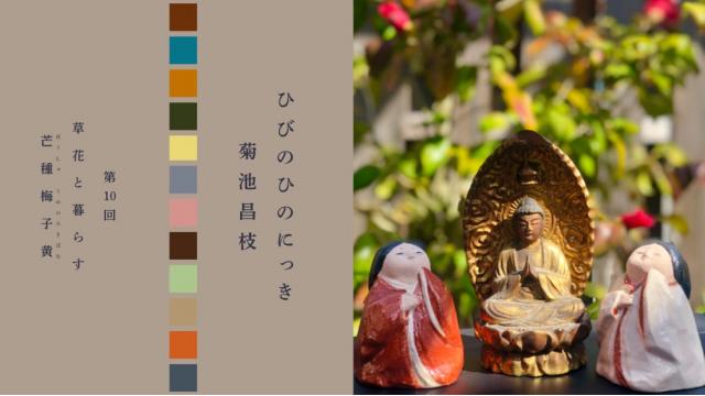 草花と暮らす〜芒種　梅子黄（ぼうしゅ　うめのみきばむ）｜菊池昌枝