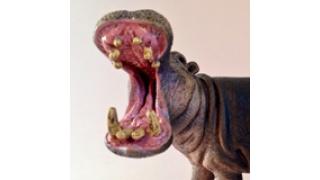 「ほぼ日刊惑星開発委員会」２月からスタート 　厳選された記事１本が平日ほぼ毎朝配信！