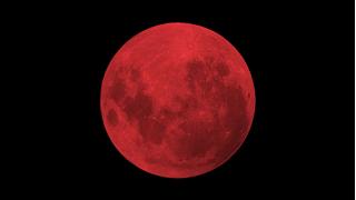 LUNA SEA主催フェス「LUNATIC FEST.」はV系の「反撃の狼煙（のろし）」か？（市川哲史×藤谷千明『すべての道はＶ系に通ず』第２回） ☆ ほぼ日刊惑星開発委員会 vol.376 ☆