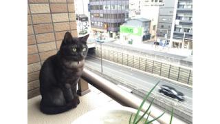 怪事件！「どこか」から来た佐藤君！