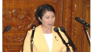 社会保障プログラム法案、小宮山国対委員長が反対討論