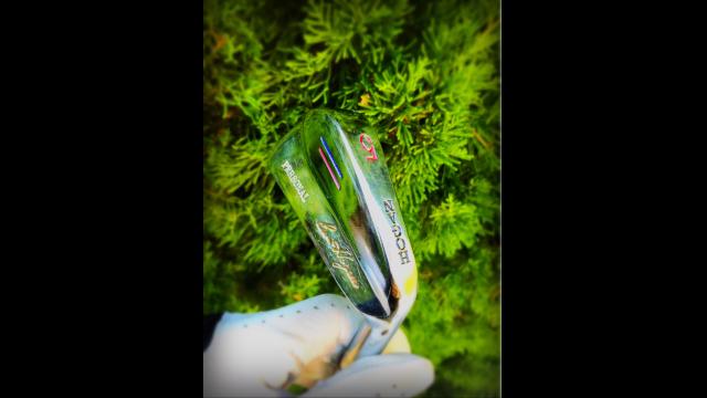 もうすぐだよん(n´v｀n)