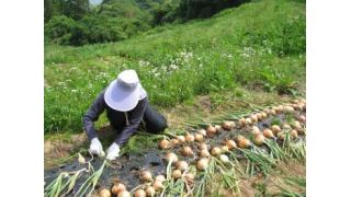甲斐良治：若者たちからのお誘い
