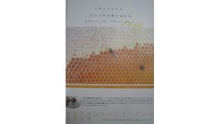 甲斐良治：複数の名刺や肩書きをもつ「新・遊牧民」