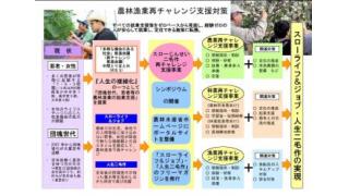 甲斐良治：農山村の若者ＮＰＯ、若手自治体職員のみなさんへ