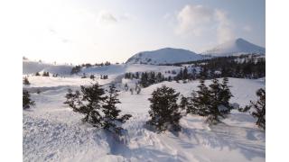 【結城登美雄の食の歳時記#6】地域に伝わる「山の紋章」（暦編・その3）