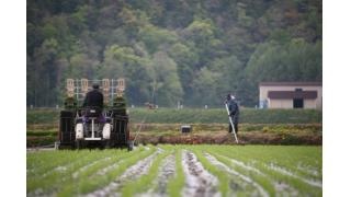 【結城登美雄の食の歳時記#7】農山漁村の桜（暦編・その4）