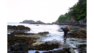 【結城登美雄の食の歳時記#14】厳しい遠洋漁業…そして伝統漁業への回帰へ（浜の暮らし編・その3）