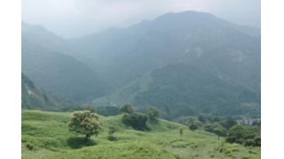 【結城登美雄の食の歳時記#21】多面的機能の経済効果は３兆円（中山間地域編・その２）