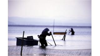 【結城登美雄の食の歳時記#28】海と川とシジミ漁（川の恵み編・その4）