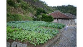 【結城登美雄の食の歳時記#39】食は“命の薬”「ヌチグスイ」（禅と食編・最終回）