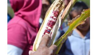 自由貿易をテーマにしたドキュメンタリー映画制作企画のご案内