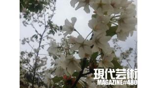 ■《全女性必読ドキュメント》My Little Sister「小保方晴子さん」文/杉作Ｊ太郎■《文学》「食べる短歌」詠み人/しまおまほ■《燃えよギャンブル》100万円ハンター勝負馬券「第76回桜花賞(G1)」文と予想/上田馬五狼■現代芸術マガジン#480