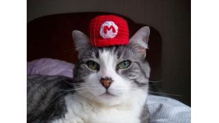 カワイイにもほどがある！ ハンドメイドの猫ちゃん用『スーパーマリオ』帽子
