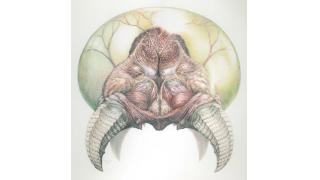 リアルで微グロで微エロ（？）なメトロイドのイラスト