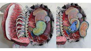 驚くほど優美な結末。ユニコーンの臓器が美しく描かれた飛び出す絵本