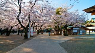 【無料記事】海燕の日常のどうでもいい話。（1313文字）