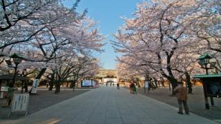 【有料記事】エロティック・ジャポン、あるいは日本の性の地下水脈。（968文字）