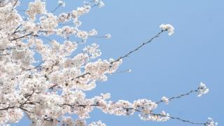 【有料記事】『ソードアート・オンライン』は『クリス・クロス』のパクリか？（2273文字）