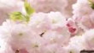 【有料記事】正論は暴力だ。（1394文字）