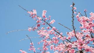 【有料記事】「ターンAはカス」と平気で言う男！　永野護暴言録。（2474文字）