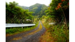 屋久島一人旅日記～その4（2,360字）