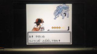 ポケモン金銀徘徊スイクン色違い出ました スイクン大好きミナキのブログ ブロマガ