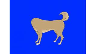 13年2月の記事 バオー ドングリ アナルビーズ嘘ブログ ブロマガ