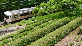 たけやさおだけ Na Oranzhevoj Poezde ブロマガ