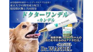 ドクターワンデルの口コミで効果なし 本当に歯石が取れる 副作用は Hikaruブログ ブロマガ