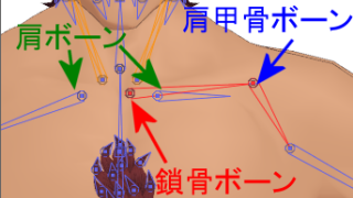 肩回りボーン構造を 体幹 鎖骨 肩甲骨 腕 ってリアル人体ぽい構造にしてみるラフ実験 オヨヨの不良在庫 ブロマガ