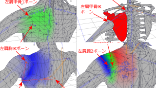 Mmdモデルの肩甲骨あたりを表現する構造の例 オヨヨの不良在庫 ブロマガ