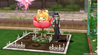 すれちがいのプク姫様つきの畑をようやくゲットしたよー Dqxでのんびりへっぽこ戦士 ブロマガ