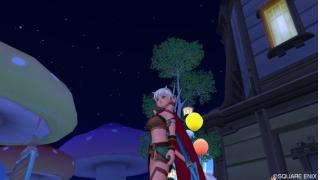 すれちがいのプク姫様つきの畑をようやくゲットしたよー Dqxでのんびりへっぽこ戦士 ブロマガ