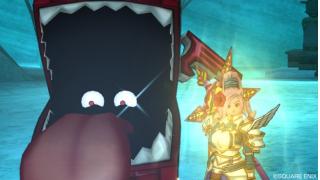 コーラルマリーとダークプラムの謎 花の値段 Dqxでのんびりへっぽこ戦士 ブロマガ