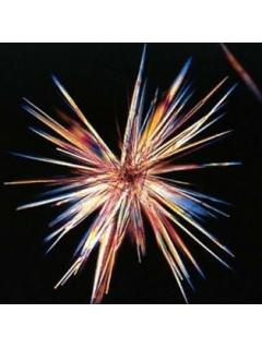 第２号 面白いブログの書き方を教えてください けふぃあの楽屋トーク ブロマガ