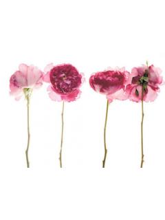 11さいすーぱーにーとの金曜日 Kju ブロマガ