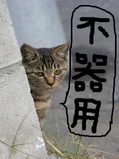 自分 不器用 ですから