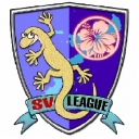 SVリーグ沖縄専用チャンネル