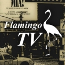 FlamingoTV（フラミンゴTV）