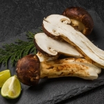 神の摂理に挑む者達～悪を断つ剣～