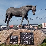 ツインターボ11